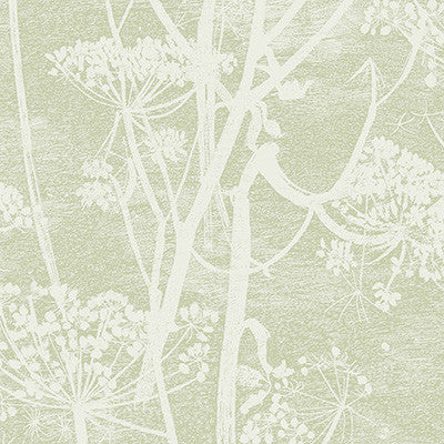 Cow Parsley Olive by Cole & Son Wallcovering