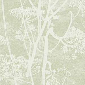 Cow Parsley Olive by Cole & Son Wallcovering