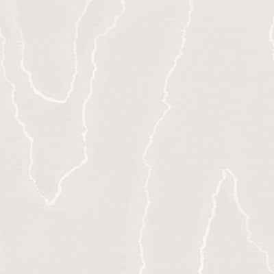 Watered Silk Silver by Cole & Son Wallcovering