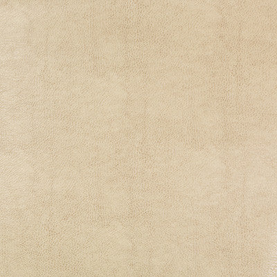 Kravet Design Beholder-116 by Kravet Design Fabric