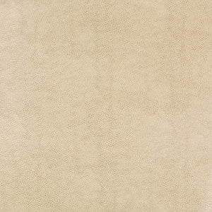 Kravet Design Beholder-116 by Kravet Design Fabric