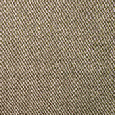 Victoria Verde by Gaston Y Daniela Fabric