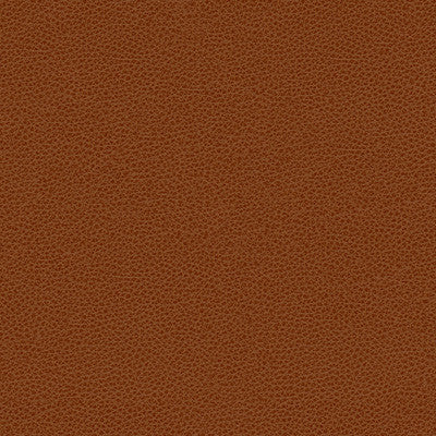 Kravet Smart Rigel-24 by Kravet Design Fabric