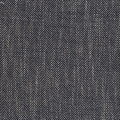 Enea Navy by Gaston Y Daniela Fabric