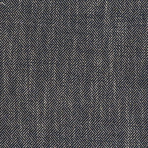 Enea Navy by Gaston Y Daniela Fabric