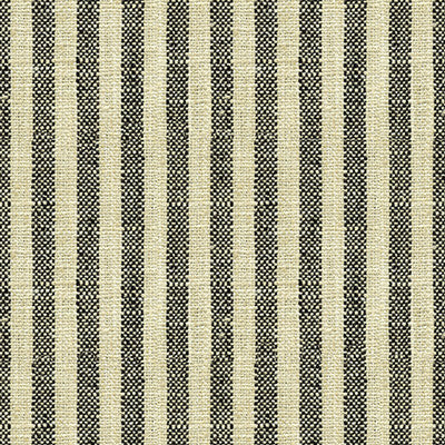 Kravet Basics 34080-81 by Kravet Basics Fabric