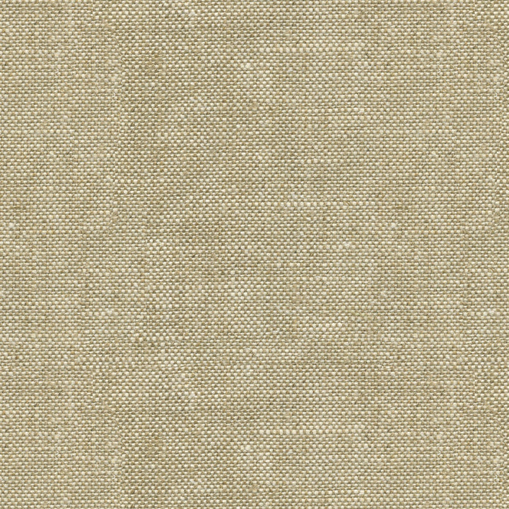 Lea Buff by G P & J Baker Fabric