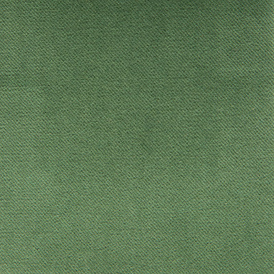 Venecia Verde by Gaston Y Daniela Fabric