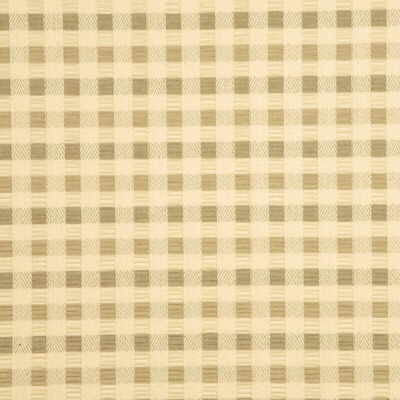Wave Pleat Taupe by Baker Lifestyle Fabric