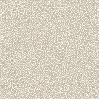 Senzo Spot Stone & White by Cole & Son Wallcovering