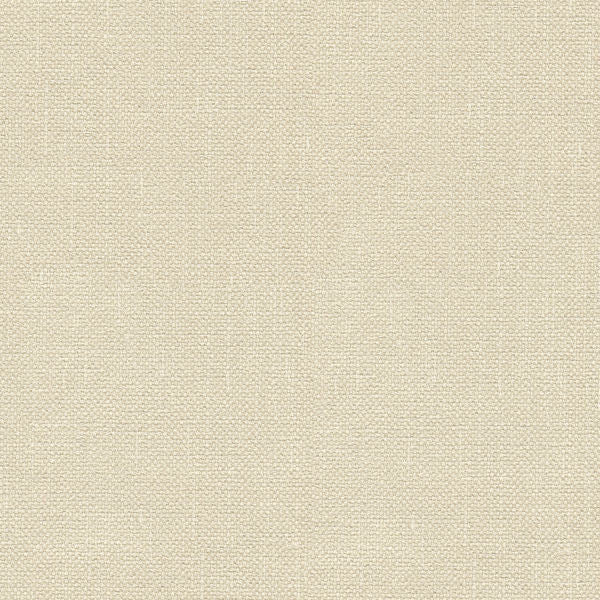 Kravet Basics 33120-1116 by Kravet Basics Fabric