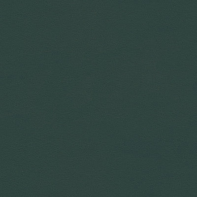 Kravet Contract Berta-5 by Kravet Contract Fabric