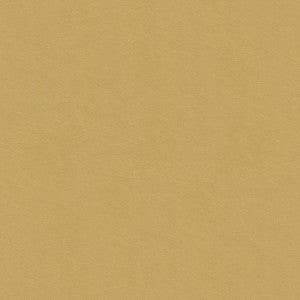 Kravet Smart 32565-1616 by Kravet Smart Fabric