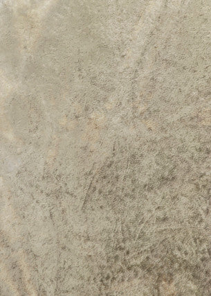 Alvar Parchment by Threads Fabric
