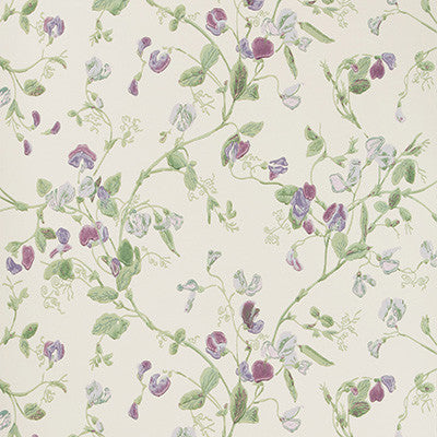 Sweet Pea Violet by Cole & Son Wallcovering