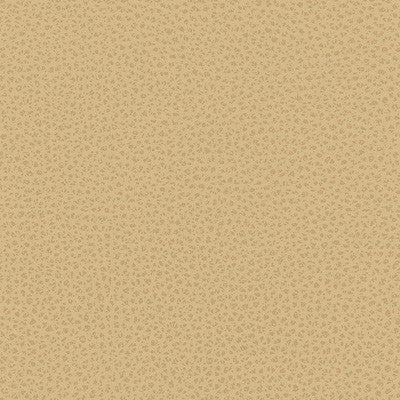 Kravet Contract Bess-16 by Kravet Contract Fabric
