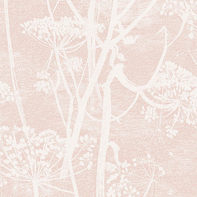 Cow Parsley Plaster Pink by Cole & Son Wallcovering