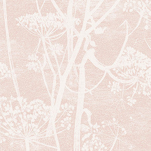 Cow Parsley Plaster Pink by Cole & Son Wallcovering