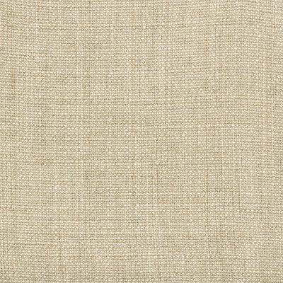Kravet Basics 35189-1016 by Kravet Basics Fabric