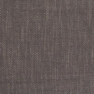 Enea Gris by Gaston Y Daniela Fabric