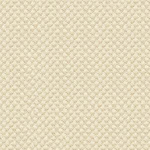 Kravet Design 25807-1116 by Kravet Design Fabric