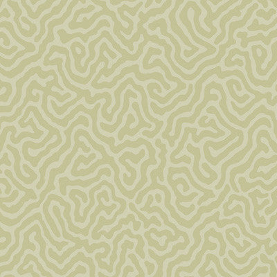 Coral Old Olive by Cole & Son Wallcovering