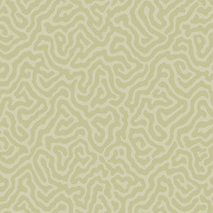 Coral Old Olive by Cole & Son Wallcovering