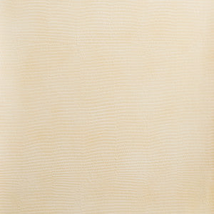 Kravet Design Vela-16 by Kravet Design Fabric