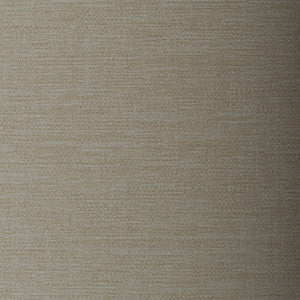 Santo Shell by Winfield Thybony Wallcovering
