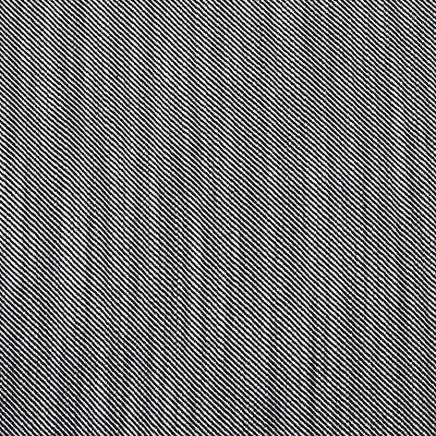 Victoria Black/Blanco by Gaston Y Daniela Fabric
