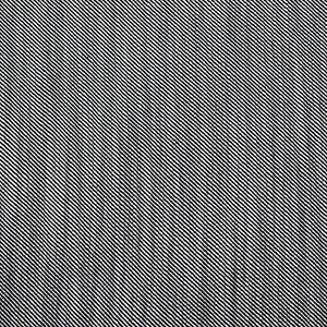 Victoria Black/Blanco by Gaston Y Daniela Fabric