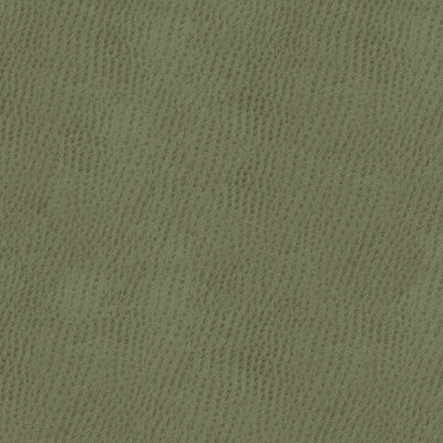 Kravet Smart Ossy-11 by Kravet Smart Fabric