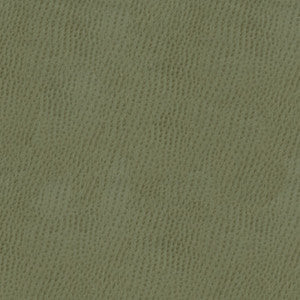 Kravet Smart Ossy-11 by Kravet Smart Fabric