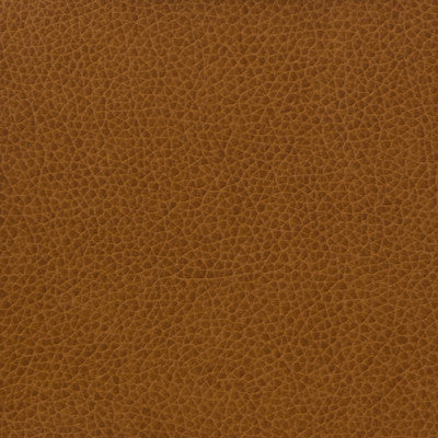 Kravet Basics Matter-616 by Kravet Basics Fabric