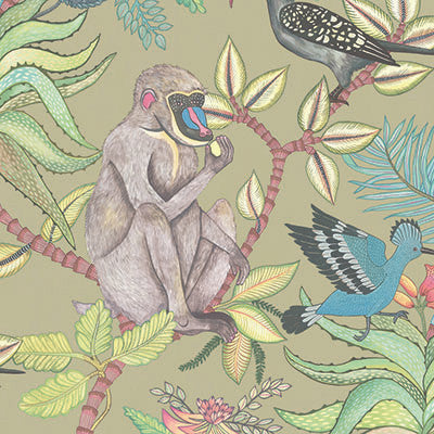 Savuti Khaki Multi by Cole & Son Wallcovering