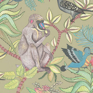 Savuti Khaki Multi by Cole & Son Wallcovering