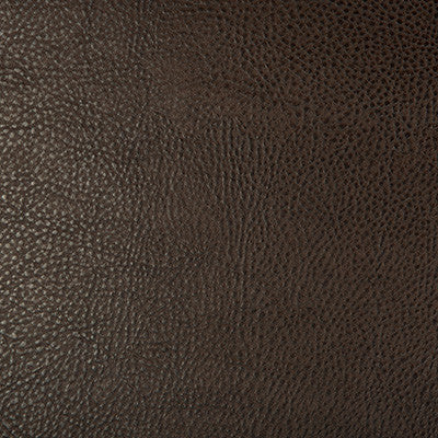 Kravet Design Beholder-6 by Kravet Design Fabric