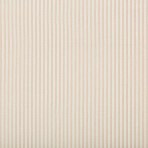 Cap Ferrat Stripe Pink by Lee Jofa Fabric