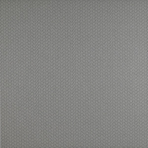 Chueca Gris by Gaston Y Daniela Fabric