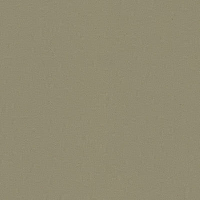 Kravet Smart Newt-11 by Kravet Smart Fabric