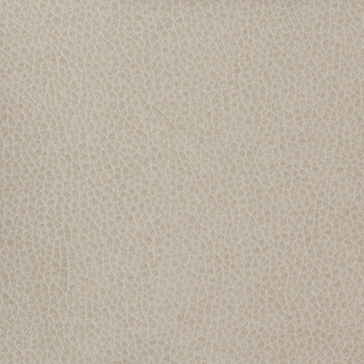 Kravet Basics Matter-11 by Kravet Basics Fabric