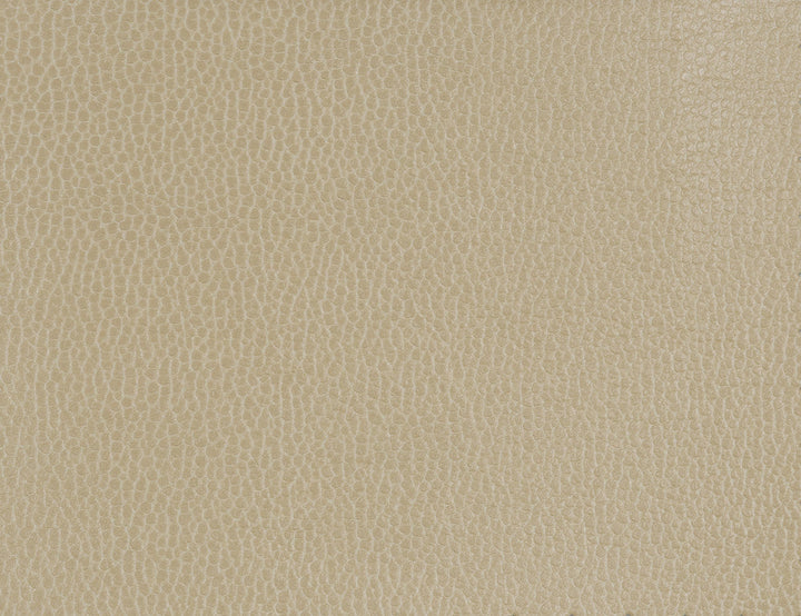 Gillian-1616 by Kravet Fabric