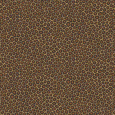 Senzo Spot True Leopard by Cole & Son Wallcovering