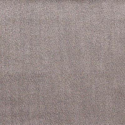 Victoria Plata/Blanco by Gaston Y Daniela Fabric