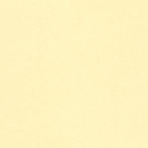 Kravet Smart 32565-1 by Kravet Smart Fabric