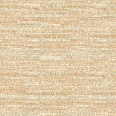 Kravet Smart 34191-1116 by Kravet Smart Fabric