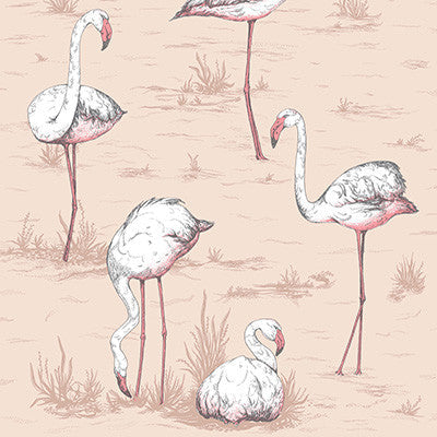 Flamingos Plaster Pink by Cole & Son Wallcovering