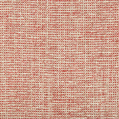 Varona Berry by Lee Jofa Fabric