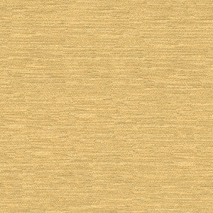 Kravet Smart 32877-116 by Kravet Smart Fabric