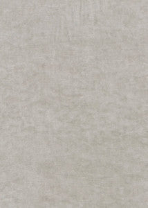 King'S Velvet Silver by G P & J Baker Fabric